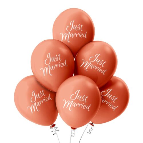 Luftballon-Hochzeit_JustMarried_Rose